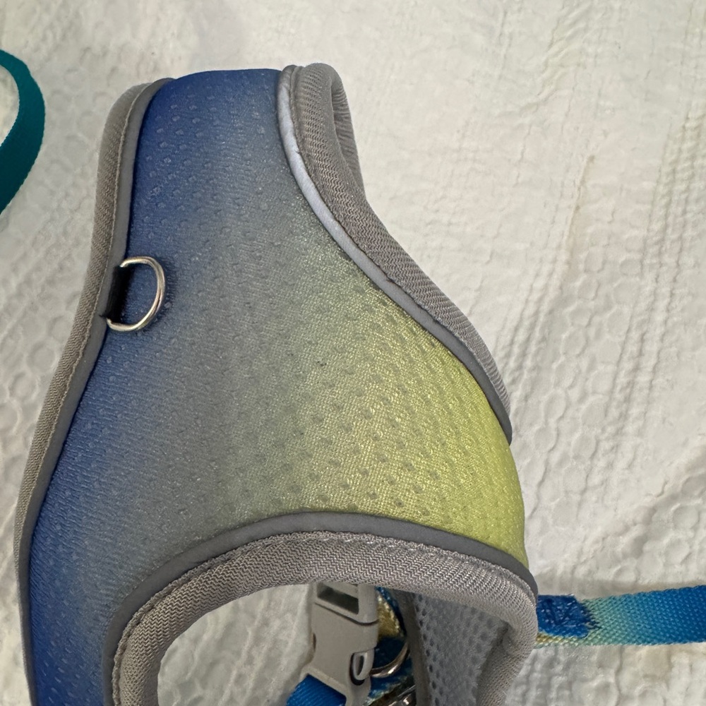 Gradient Blue-Green Padded Dog Harness - Comfort Fit